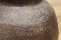 小振りサイズ!! 丸みのあるデザインが可愛らしいカメ　DC8238