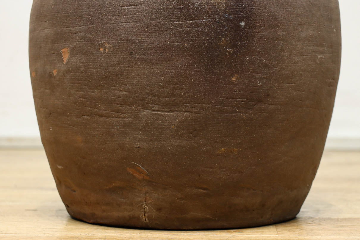 小振りサイズ!! 丸みのあるデザインが可愛らしいカメ　DC8238