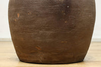 小振りサイズ!! 丸みのあるデザインが可愛らしいカメ　DC8238