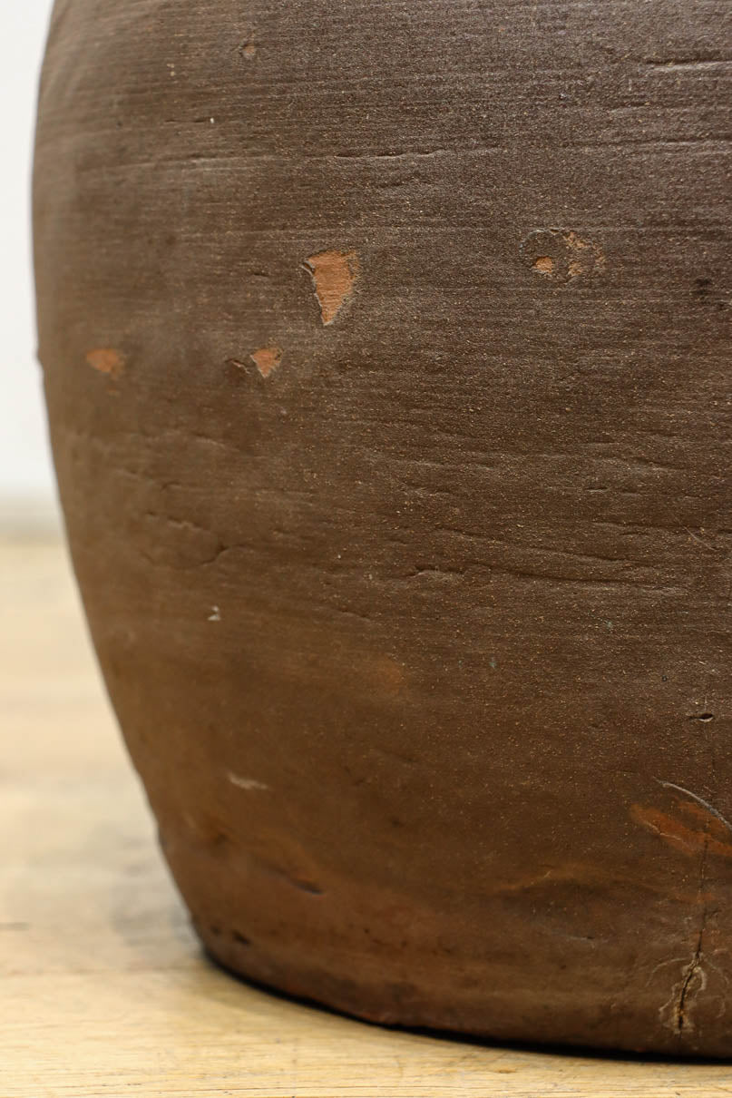 小振りサイズ!! 丸みのあるデザインが可愛らしいカメ　DC8238