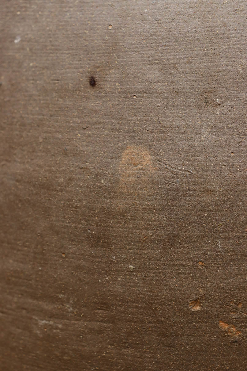 小振りサイズ!! 丸みのあるデザインが可愛らしいカメ　DC8238