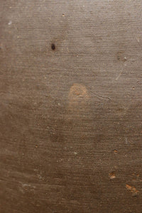 小振りサイズ!! 丸みのあるデザインが可愛らしいカメ　DC8238