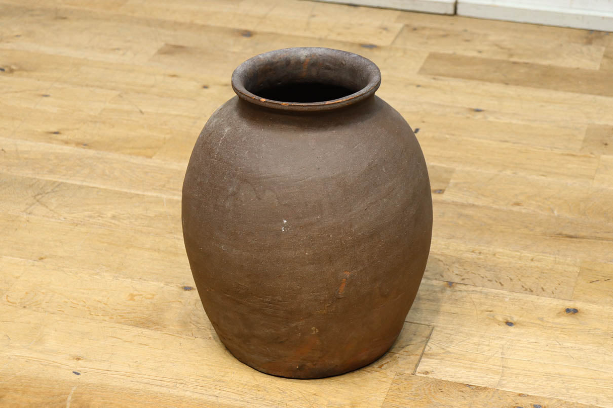 小振りサイズ!! 丸みのあるデザインが可愛らしいカメ　DC8238