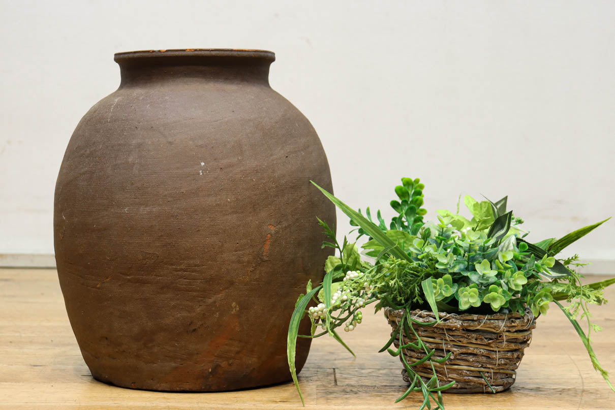 小振りサイズ!! 丸みのあるデザインが可愛らしいカメ　DC8238