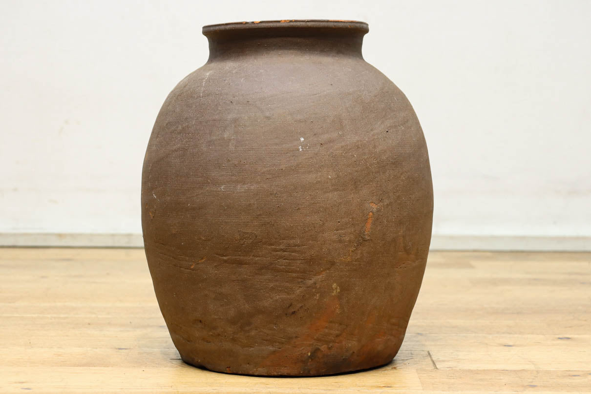 小振りサイズ!! 丸みのあるデザインが可愛らしいカメ　DC8238