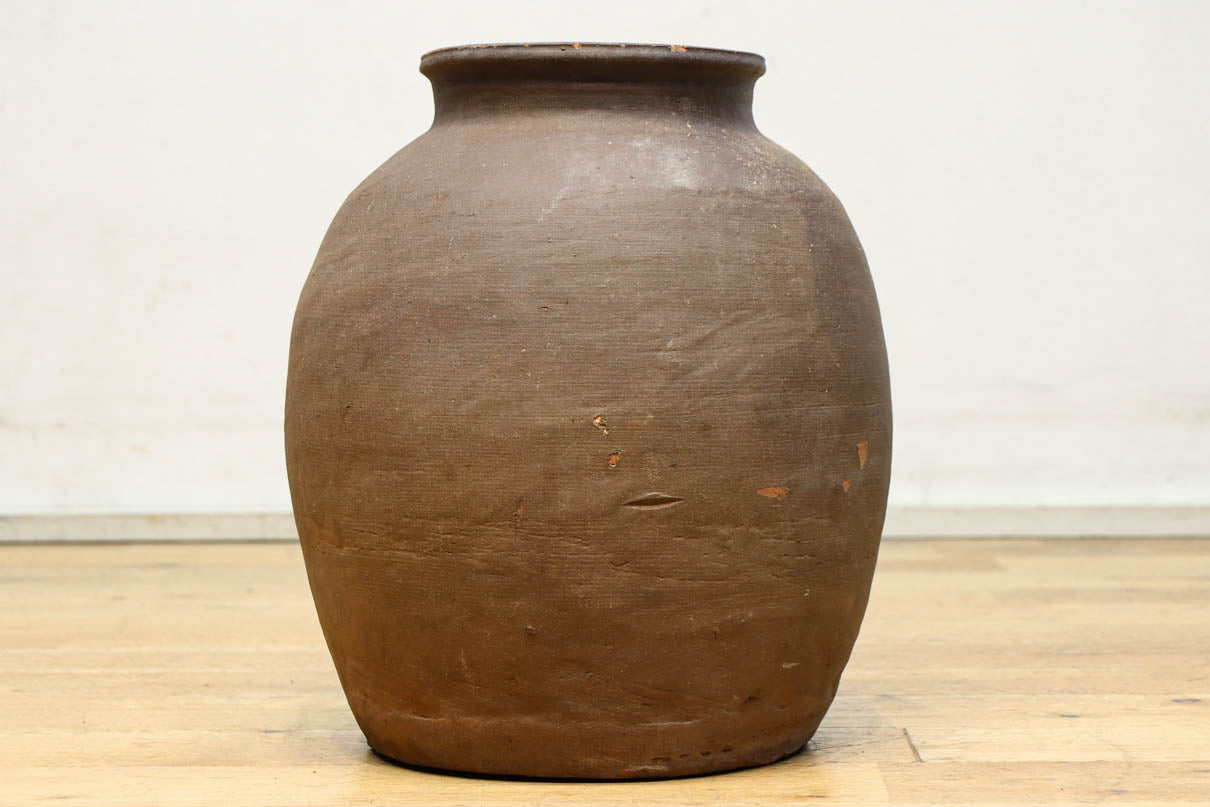 小振りサイズ!! 丸みのあるデザインが可愛らしいカメ　DC8238