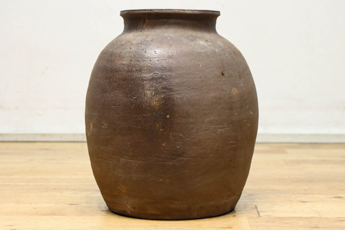 小振りサイズ!! 丸みのあるデザインが可愛らしいカメ　DC8238