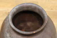 小振りサイズ!! 丸みのあるデザインが可愛らしいカメ　DC8238