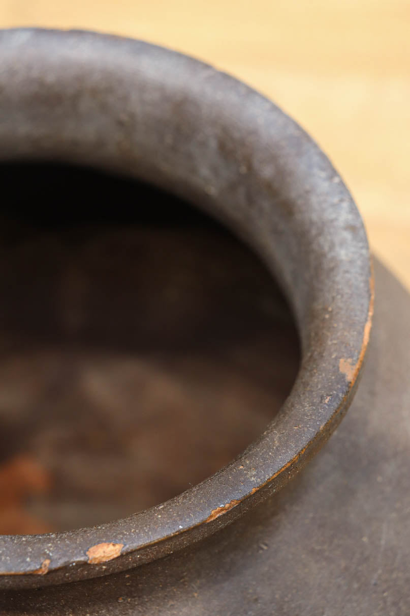 小振りサイズ!! 丸みのあるデザインが可愛らしいカメ　DC8238