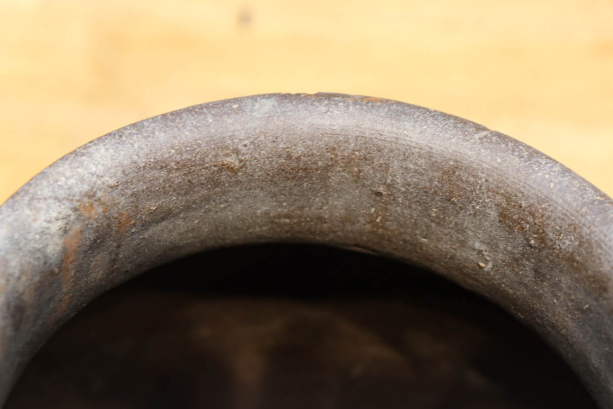 小振りサイズ!! 丸みのあるデザインが可愛らしいカメ　DC8238