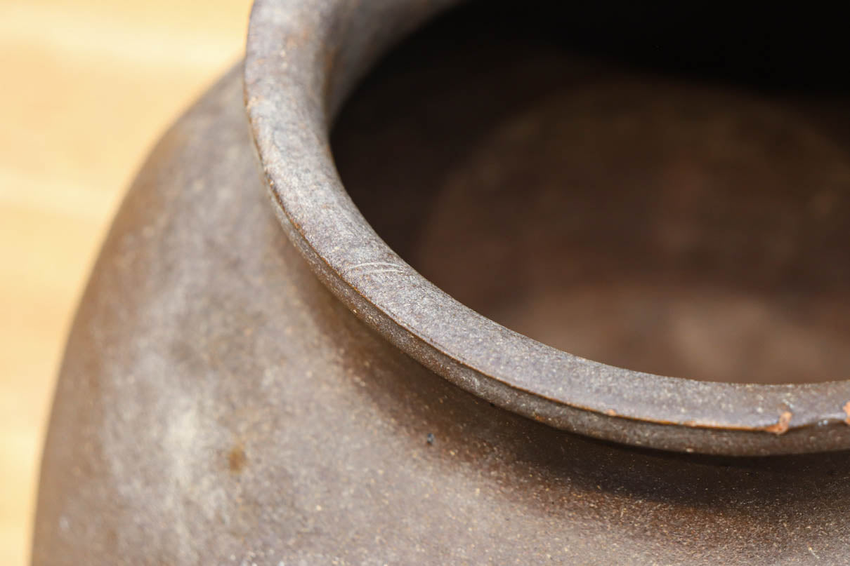 小振りサイズ!! 丸みのあるデザインが可愛らしいカメ　DC8238