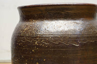 山野草が映えそうな素朴な雰囲気が魅力的な壺　DC8239