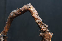 Antique tools DC8246