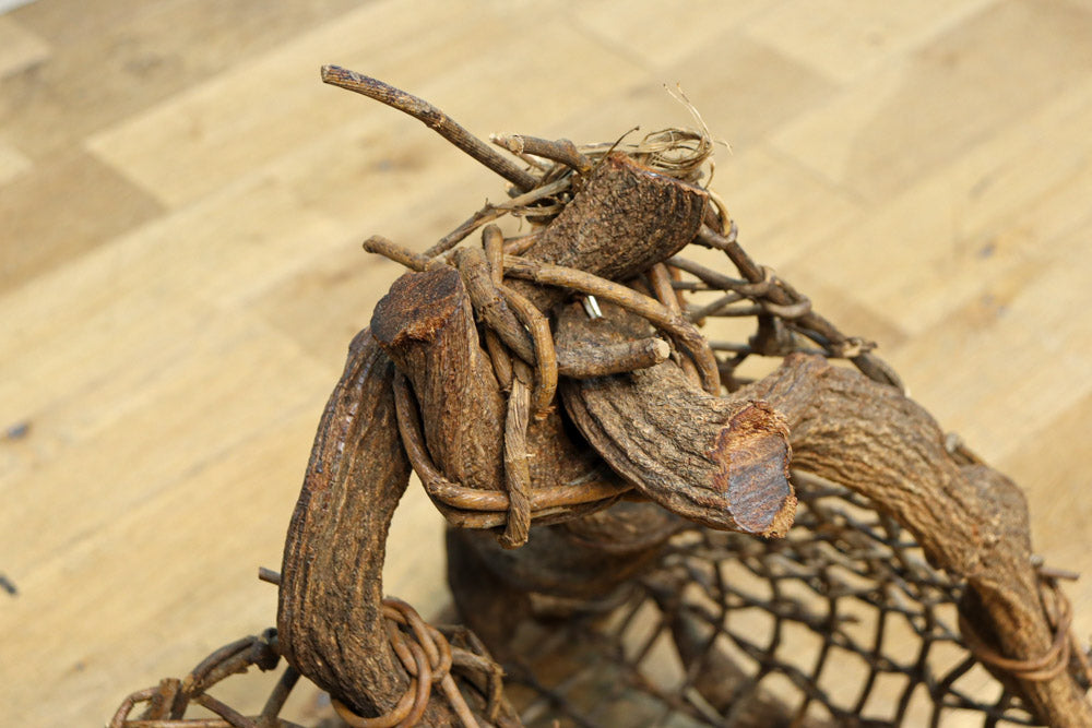 自然美を感じる古木のオブジェ　DC8276