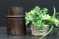 Antique tools DC8292