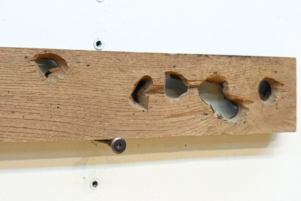 2体の龍の威厳ある姿を描く彫刻梁飾り　DC8334