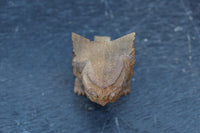 勇ましい表情に味わいが滲み出た小さな獅子の彫刻飾り　DC8361　在庫4個