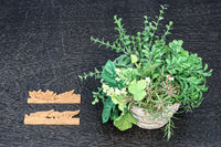 Antique tools DC8362