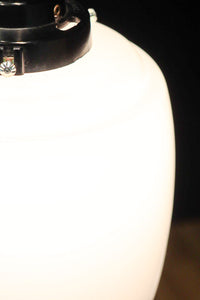 懐かし味を感じさせる樽型の電笠　DC8398