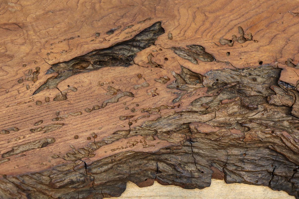 大型サイズ！！ 古木材の面持ち残る敷板　DC8405