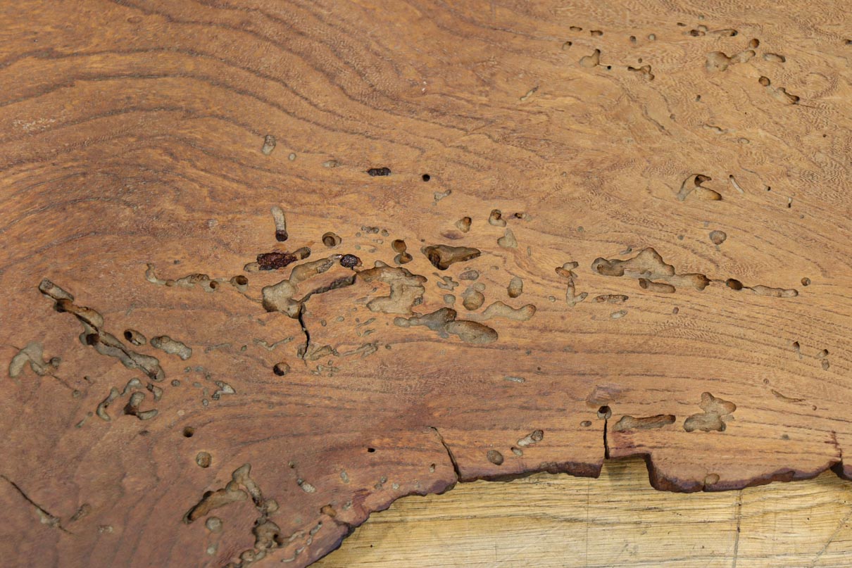 大型サイズ！！ 古木材の面持ち残る敷板　DC8405