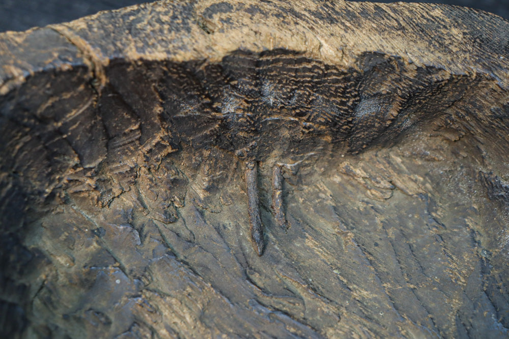 古色の風合いで味わいある木彫りの小さな鬼の面　DC8417