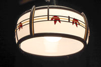 華やかな朱セルの紅葉模様で風情ある電笠　DC8446