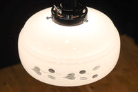 可愛らしい葉柄の透かし模様で風情ある電笠　DC8448