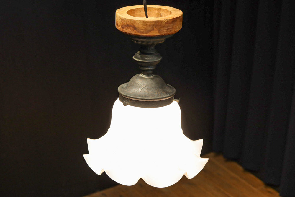 ceiling mounted light DC8452