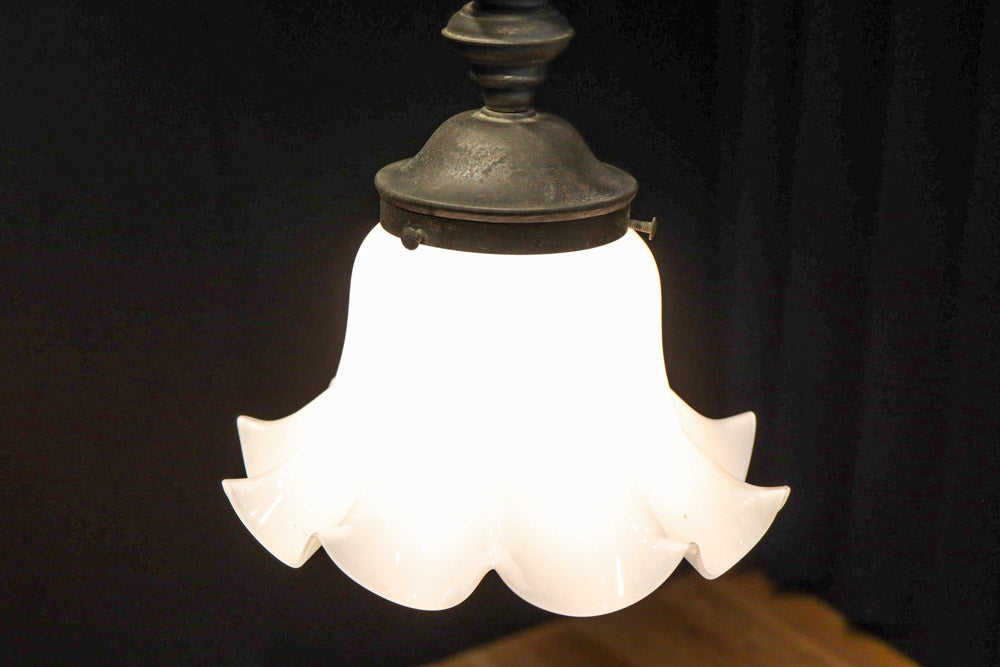 ceiling mounted light DC8452