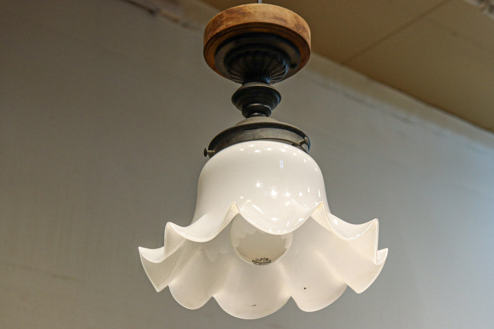 ceiling mounted light DC8452