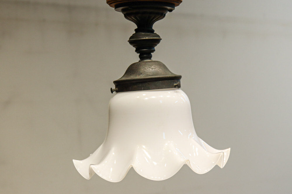 ceiling mounted light DC8452