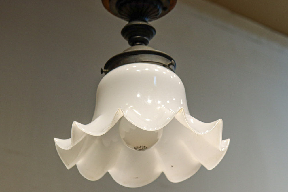 ceiling mounted light DC8452