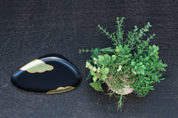 Antique tools DC8466