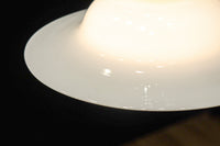 麦わら帽子を思わせる風情溢れる電笠　DC8470