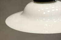 麦わら帽子を思わせる風情溢れる電笠　DC8470