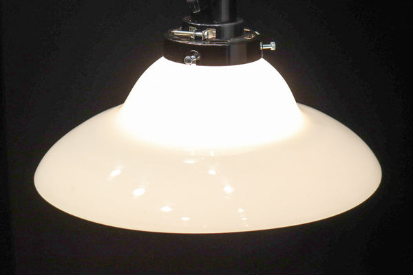 ころころと愛嬌ある丸みが魅力的な電笠　DC8471