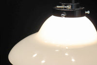 ころころと愛嬌ある丸みが魅力的な電笠　DC8471