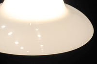 ころころと愛嬌ある丸みが魅力的な電笠　DC8471