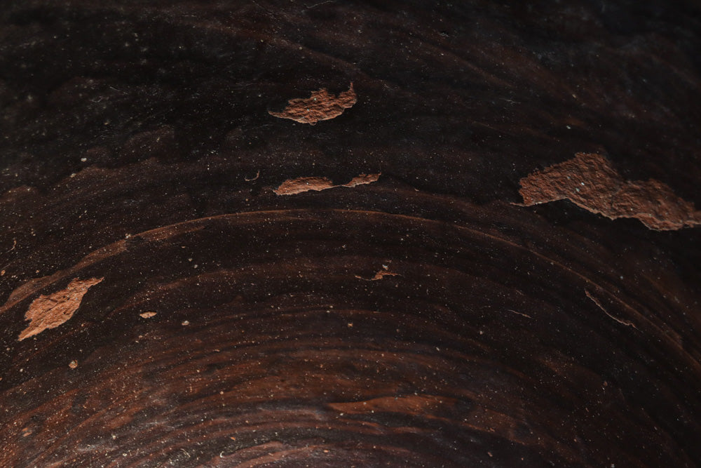 朴訥な風合いで温かみのあるカメ　DC8476