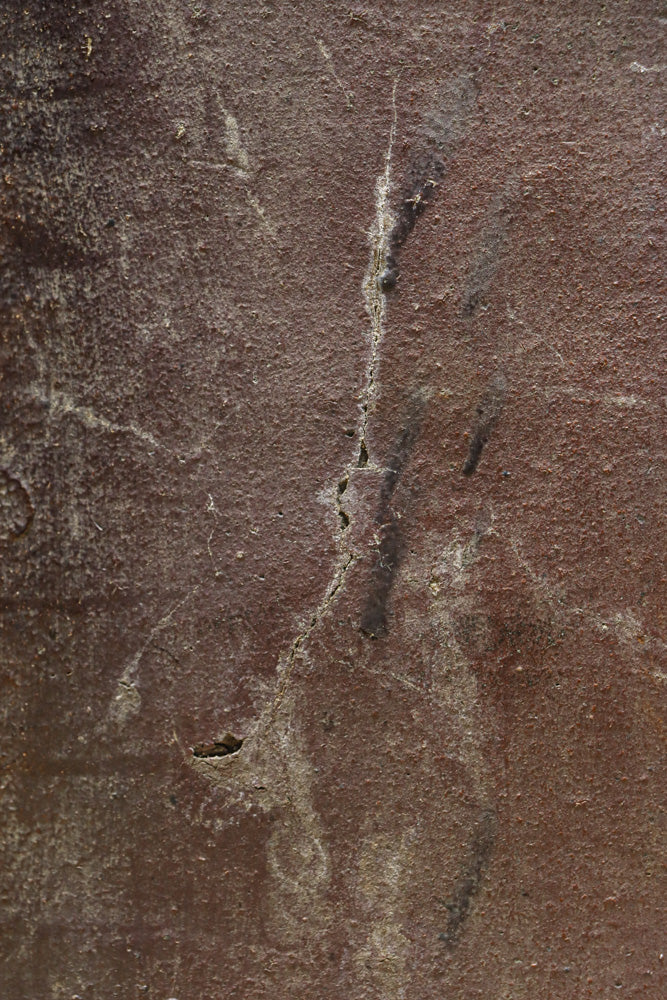 朴訥な風合いで温かみのあるカメ　DC8476