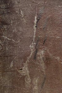 朴訥な風合いで温かみのあるカメ　DC8476