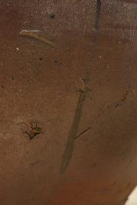 朴訥な風合いで温かみのあるカメ　DC8476