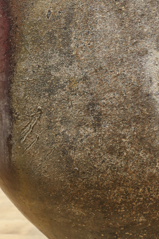 朴訥な風合いで温かみのあるカメ　DC8476