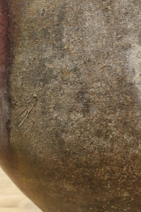 朴訥な風合いで温かみのあるカメ　DC8476