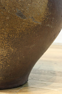 朴訥な風合いで温かみのあるカメ　DC8476