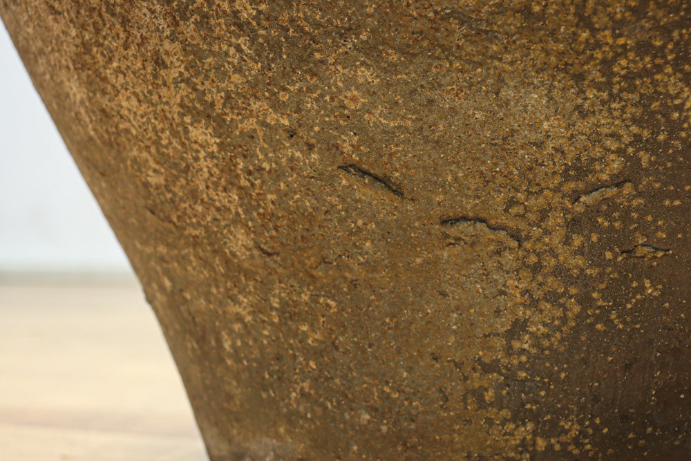 朴訥な風合いで温かみのあるカメ　DC8476