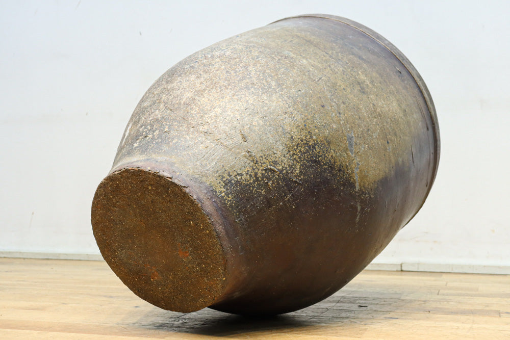 朴訥な風合いで温かみのあるカメ　DC8476