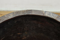 朴訥な風合いで温かみのあるカメ　DC8476