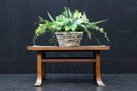 Antique tools DC8503